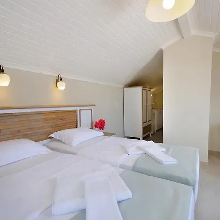 Beyaz Ev 4* ダッチャ